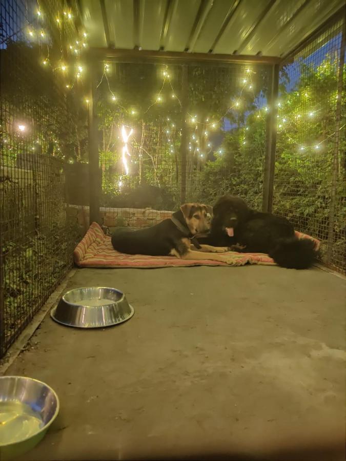 H7Stay Luxury Cottages And Camps, Rishīkesh المظهر الخارجي الصورة